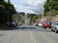 Blue Mountains