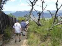 Blue Mountains