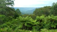 Blue Mountains