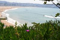 Bondi Beach (1)