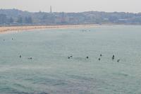 Bondi Beach (5)
