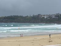 Bondi Beach
