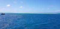 Bootsausflug ins Great Barrier Reef