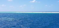 Bootsausflug ins Great Barrier Reef