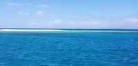 Bootsausflug ins Great Barrier Reef