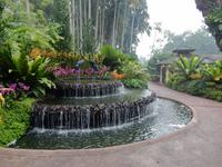 Botanischer Garten Singapur 