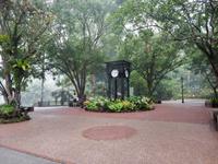 Botanischer Garten Singapur