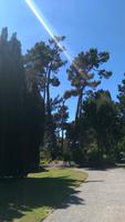 Botanischer Garten in Christchurch
