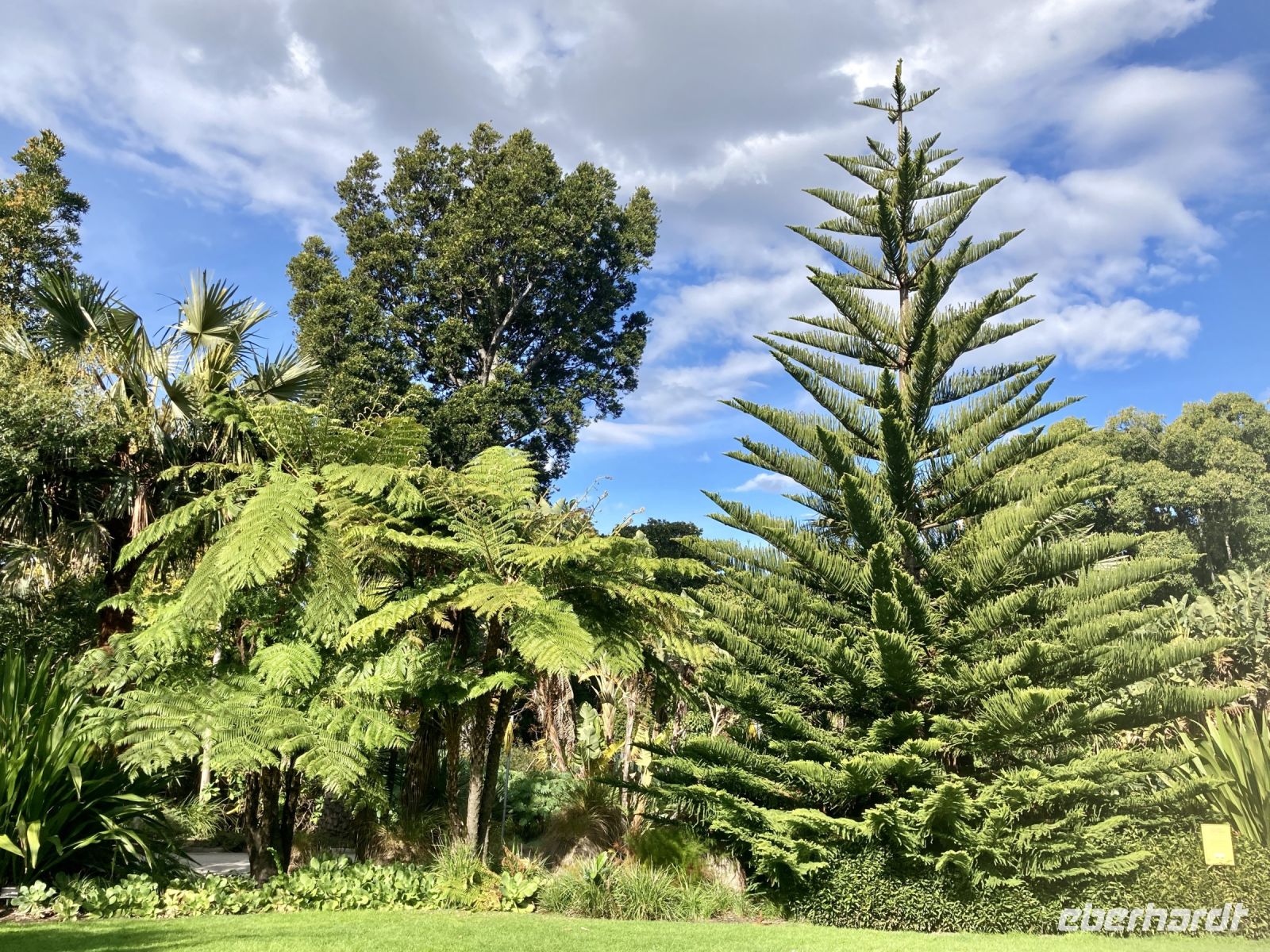 Botanischer Garten