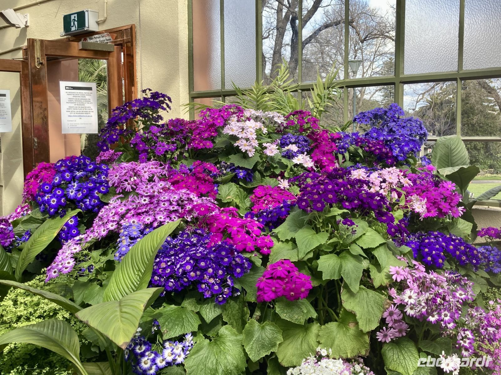 Botanischer Garten