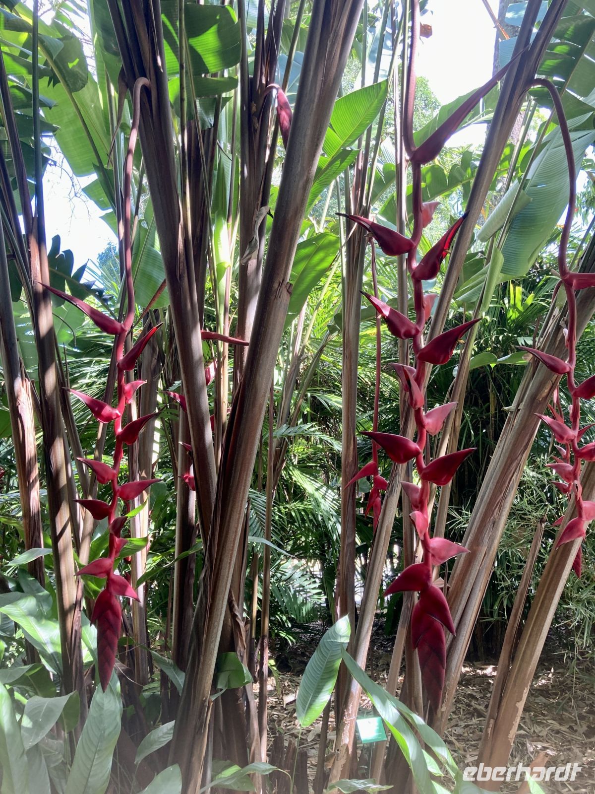 Botanischer Garten