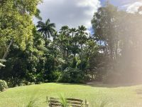 Botanischer Garten