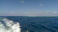 Cairns - Michaelmas Cay