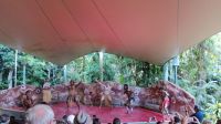 Cairns - Rainforest Station