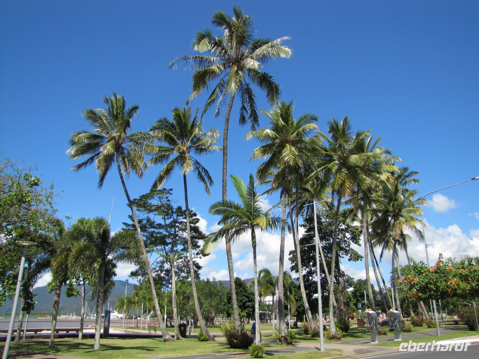 Cairns Blue Lagoon