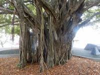 Cairns
