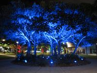 Cairns