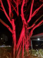 Cairns