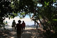 Cape Tribulation