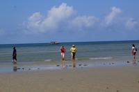 Cape Tribulation