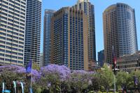 Circular Quay