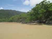 Cow Bay