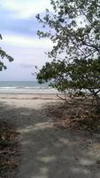 Daintree Nationalpark