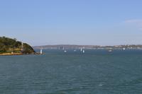 Die Kreuzfahrt geht los - Ausfahrt aus dem Sydney Harbour (Port Jackson)