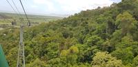 Fahrt mit der Skyrail nach Kuranda