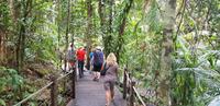 Fahrt mit der Skyrail nach Kuranda