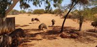 Farm im Outback
