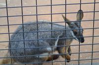 Featherdale Wildlife Park (28)