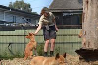 Featherdale Wildlife Park (51)