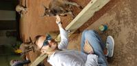Featherdale Wildlife Park - Sydney