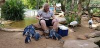 Featherdale Wildlife Park - Sydney