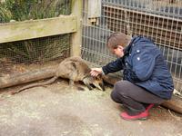 Featherdale Wildlife Park 
