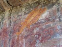 Fisch am Ubirr Rock
