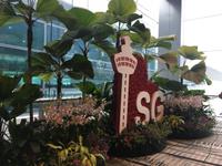 Flughafen Singapur