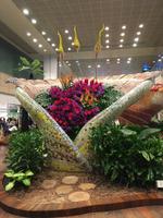 Flughafen Singapur1