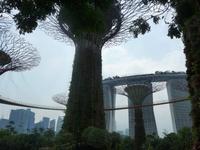Garden by the Bay