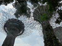 Garden by the Bay