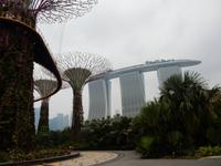 Gardens by the Bay Singapur 