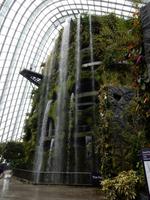 Gardens by the Bay Singapur