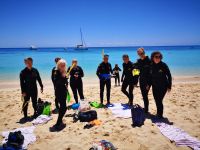 Great Barrier Reef, ready to dive