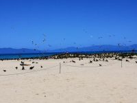 Great Barrier Reef, unser Katameran Trip