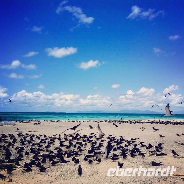Great Barrier Reef