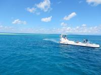 Great Barrier Reef