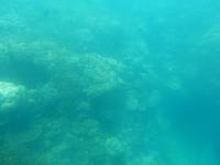 Great Barrier Reef