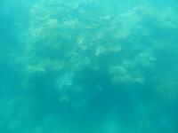 Great Barrier Reef