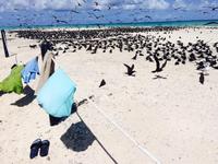 Great Barrier Reef